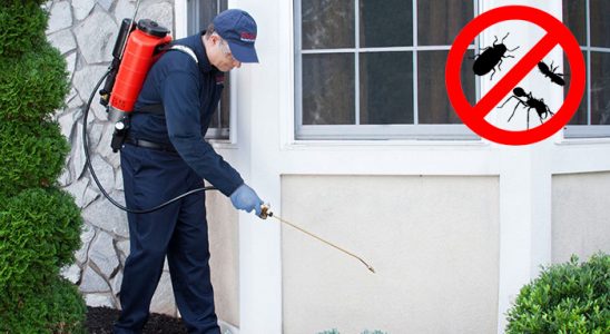 Üzümlü Gümüşkurt İlaçlama böcek ilaçlama ve haşere kontrolü — ilaclama-tr.com
